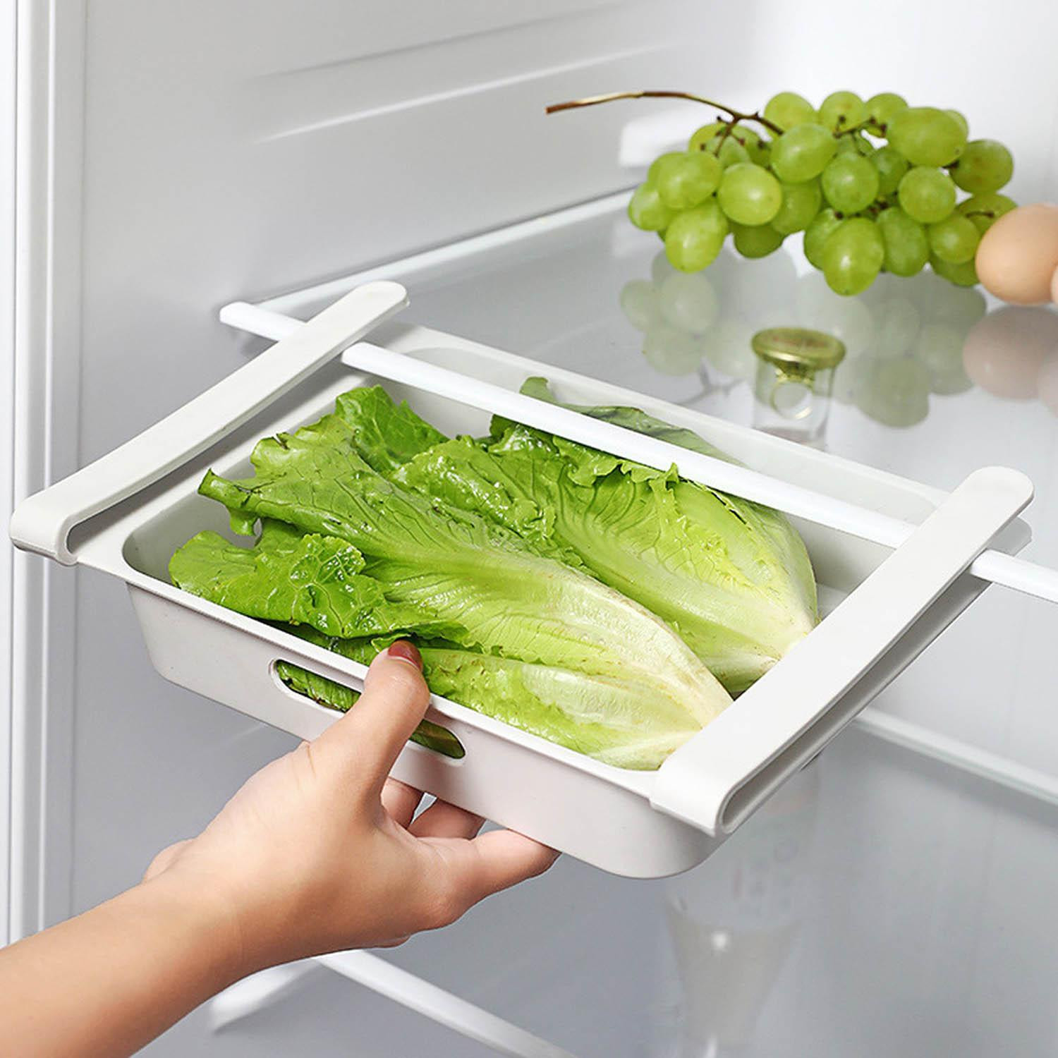 Extendable Egg Holder - Refrigerator Drawer