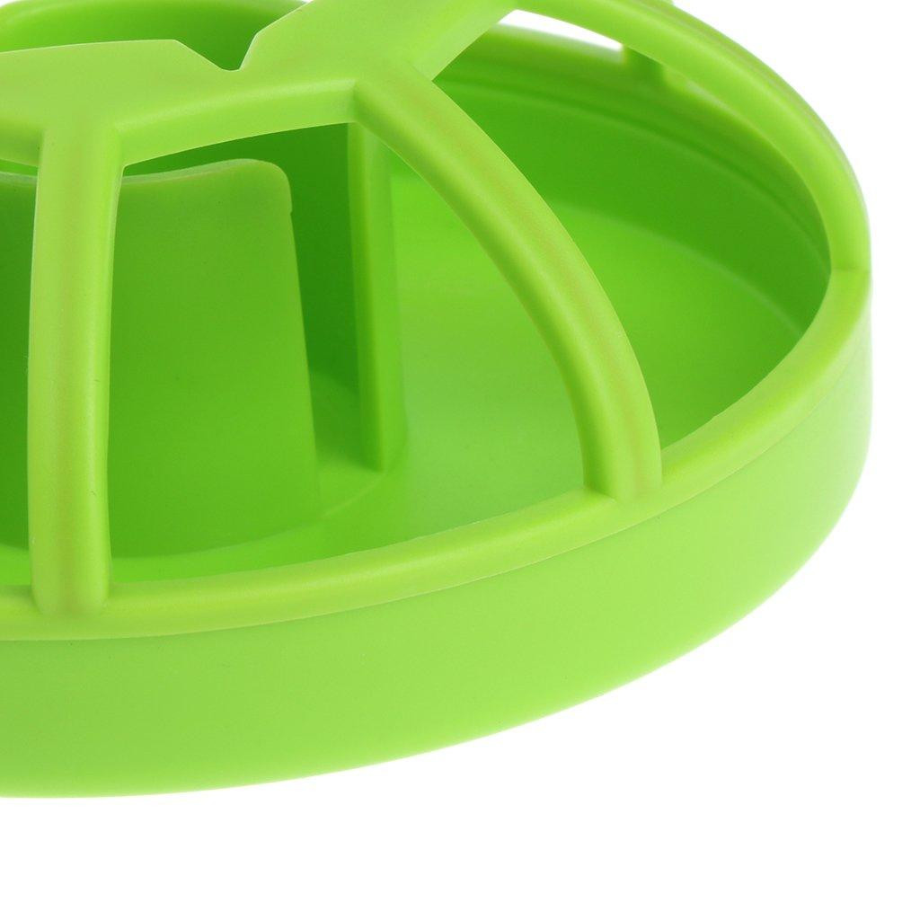 Distributeur d'eau pour reptiles