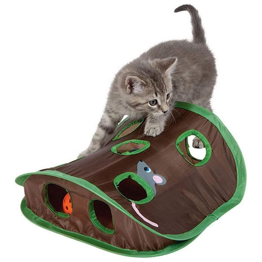 Cat Tunnel with Mice