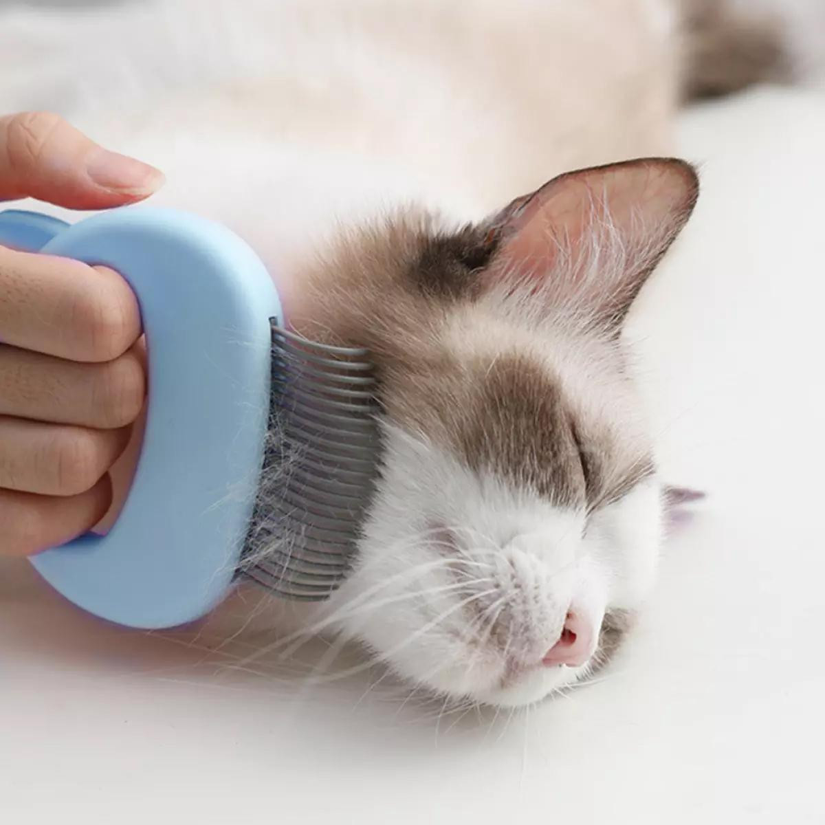 Pet Comb with Cat Design - Blue