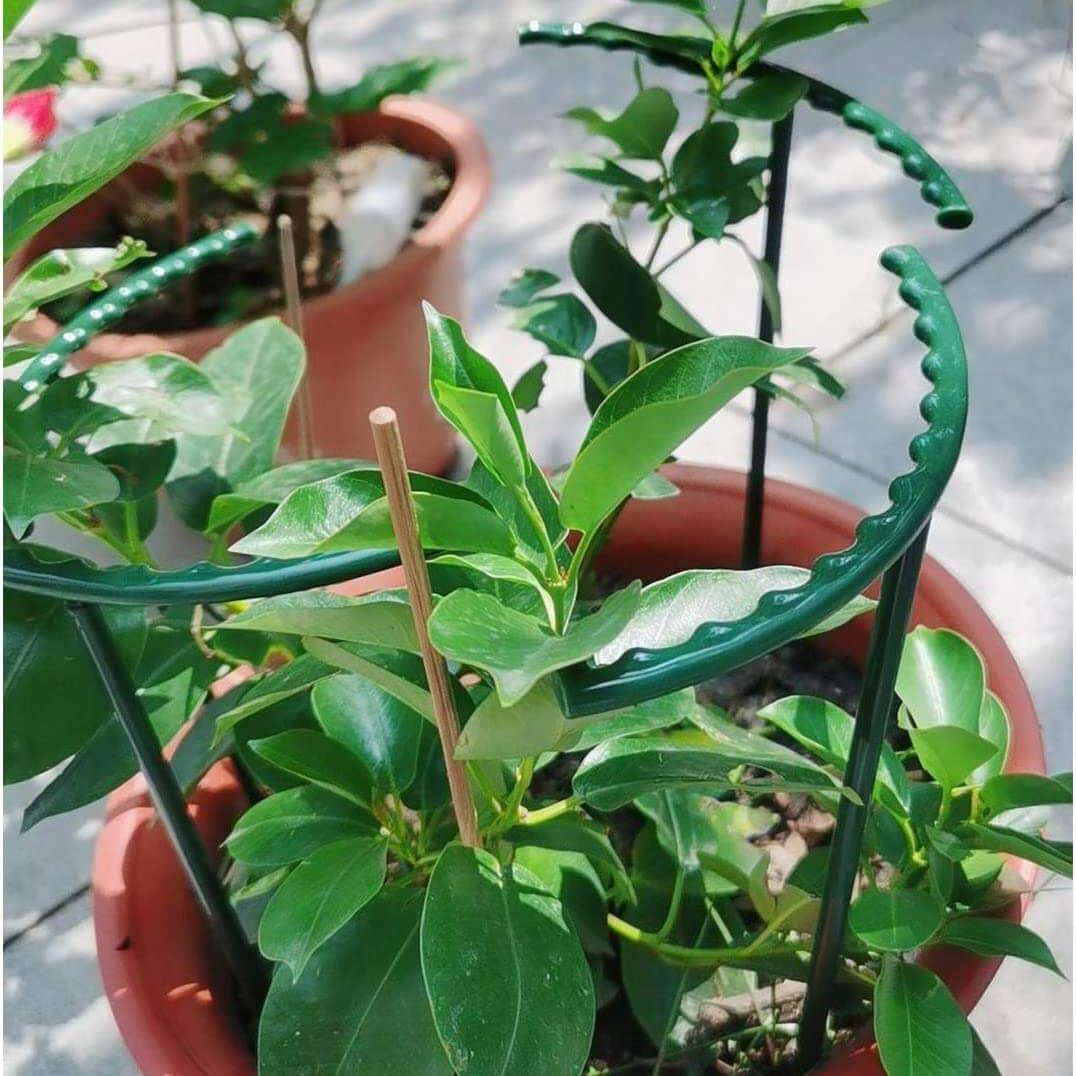 4x Supporti per piante in vaso