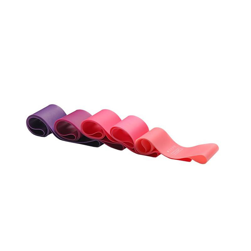 5x Resistance Bands