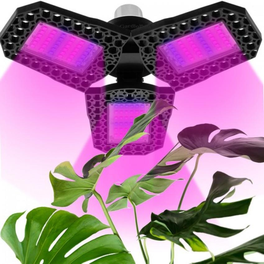 LED lighting for plants