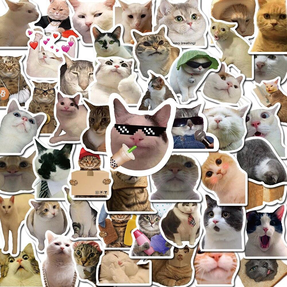Stickers cats - 50 pcs