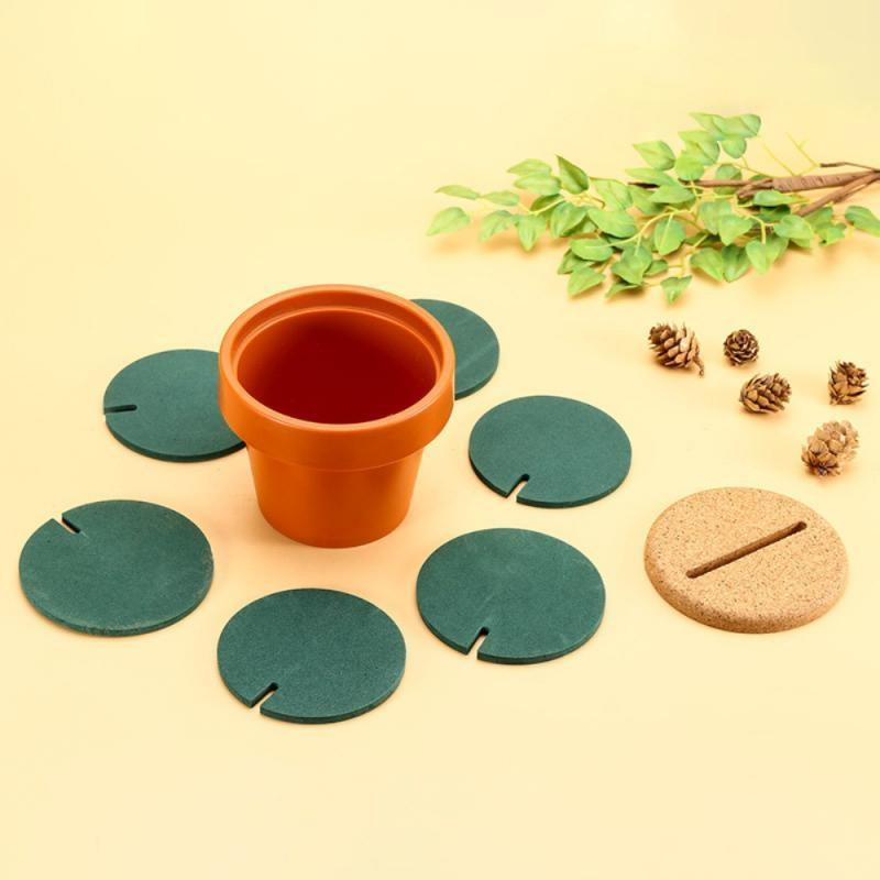 Glascoating - cactus - 6 st