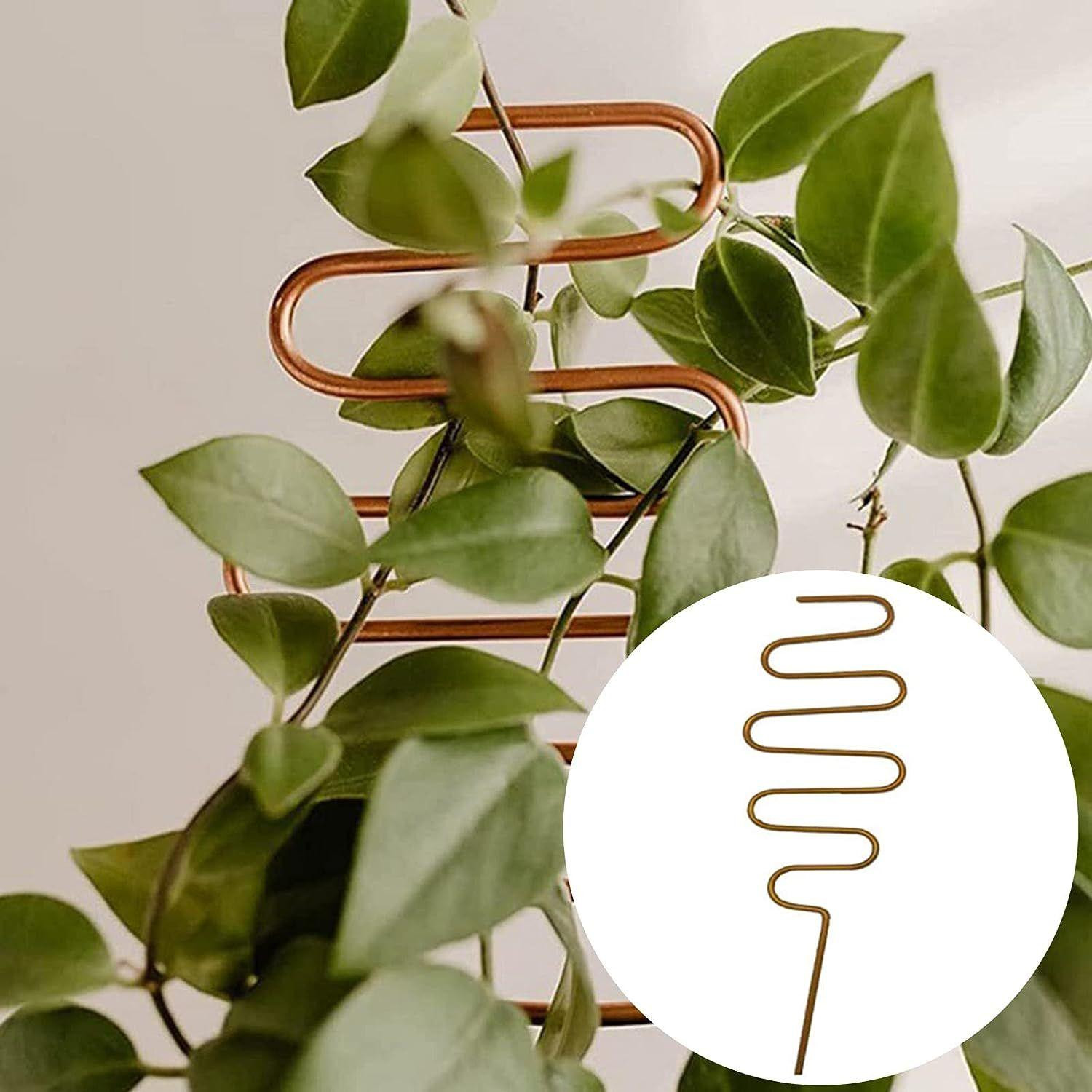 Plant support stainless - zigzag