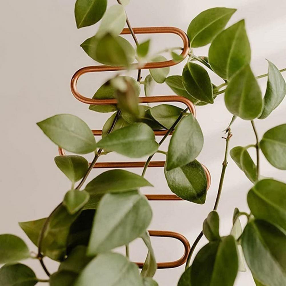 Plantensteun RVS - zigzag