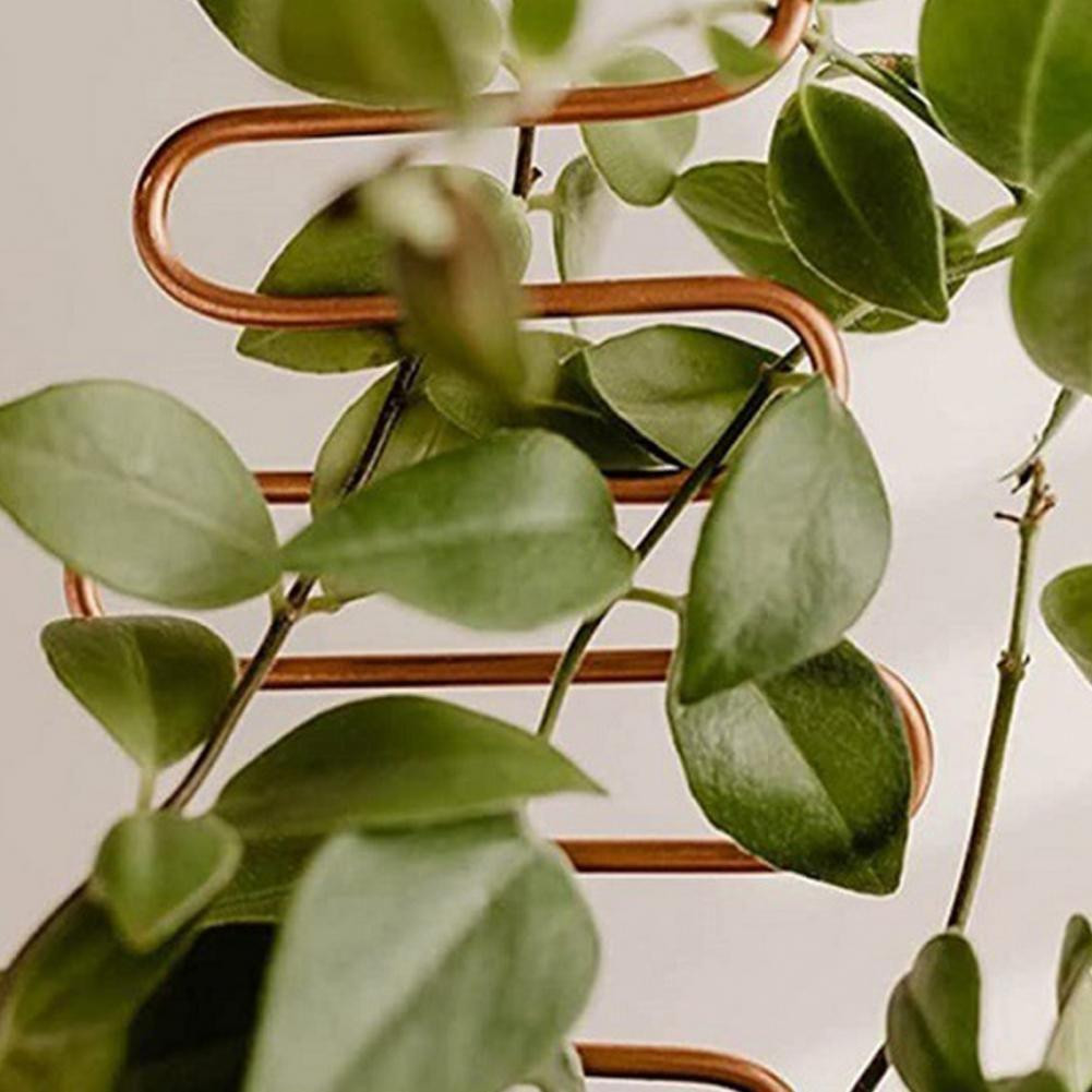 Plant support stainless - zigzag