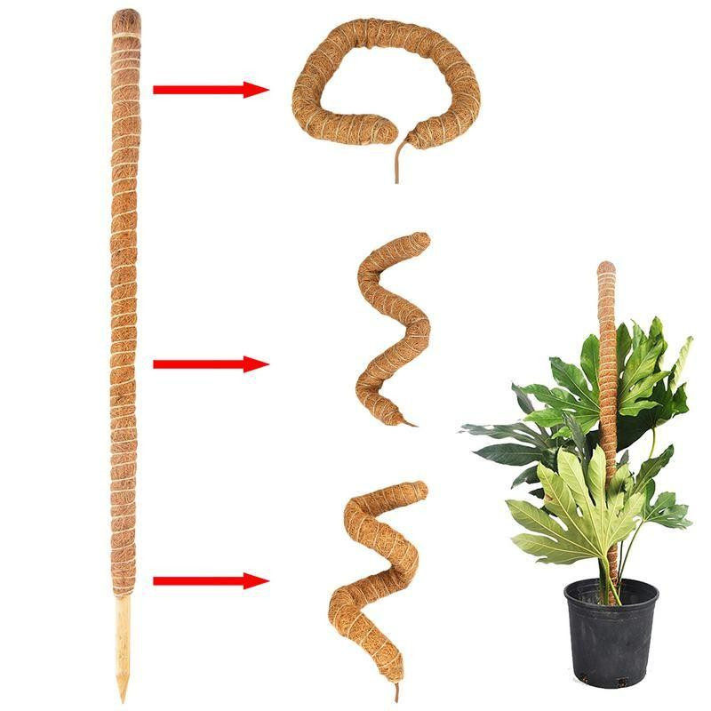 Flexible plant support - 60 cm