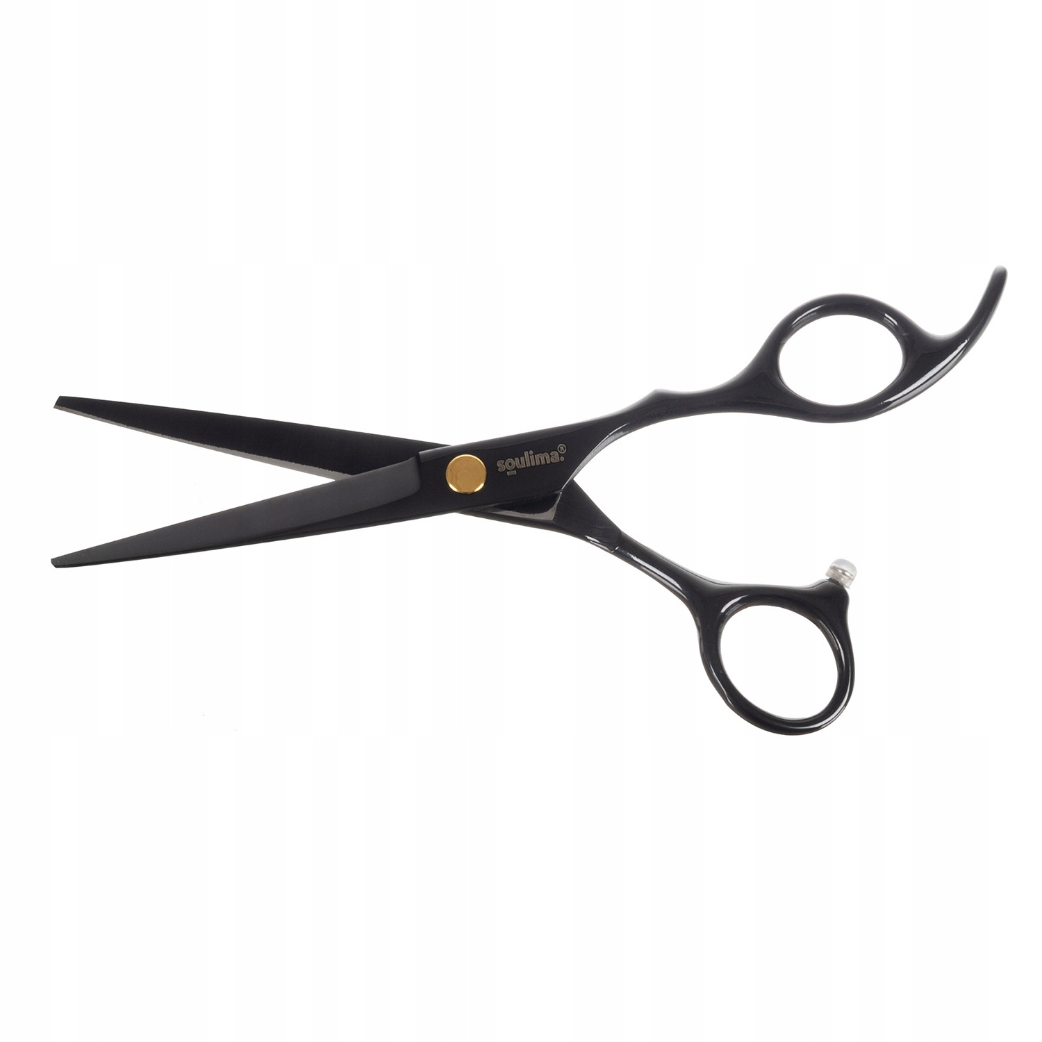 Ciseaux de coiffure de haute qualité - acier