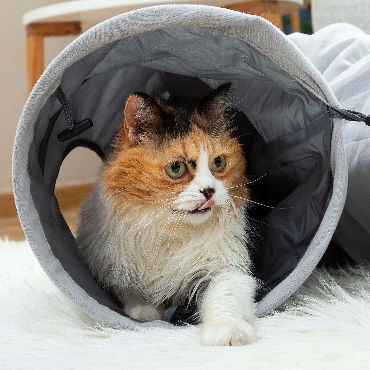 Funny tunnel for cat - folding