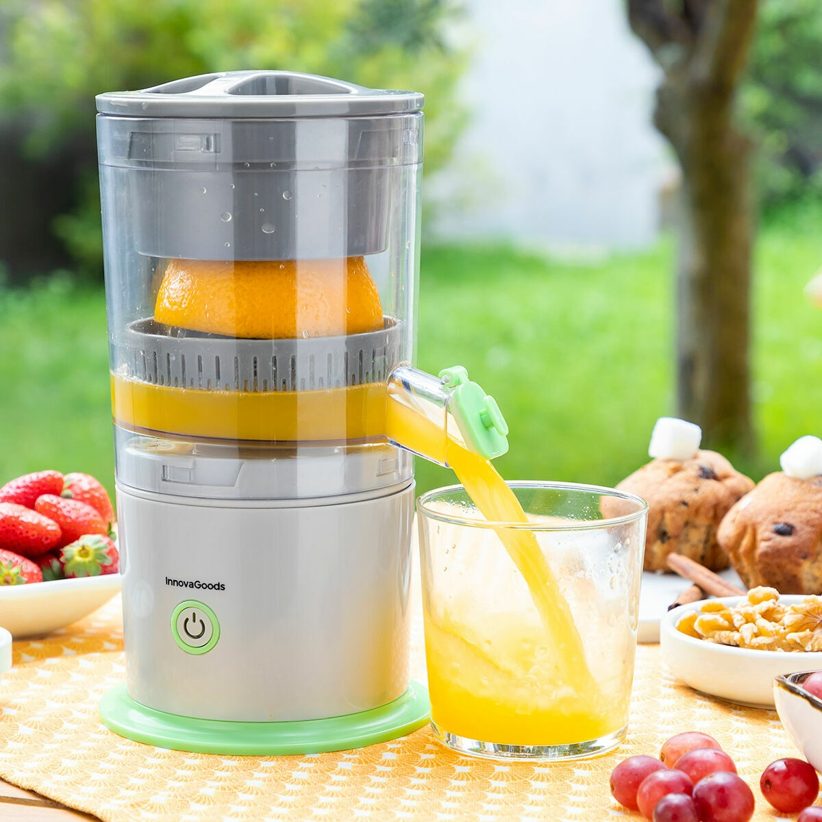 Automatic Juicer