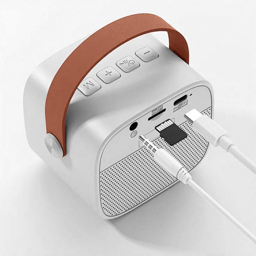 Set Karaoke portatile con microfoni wireless