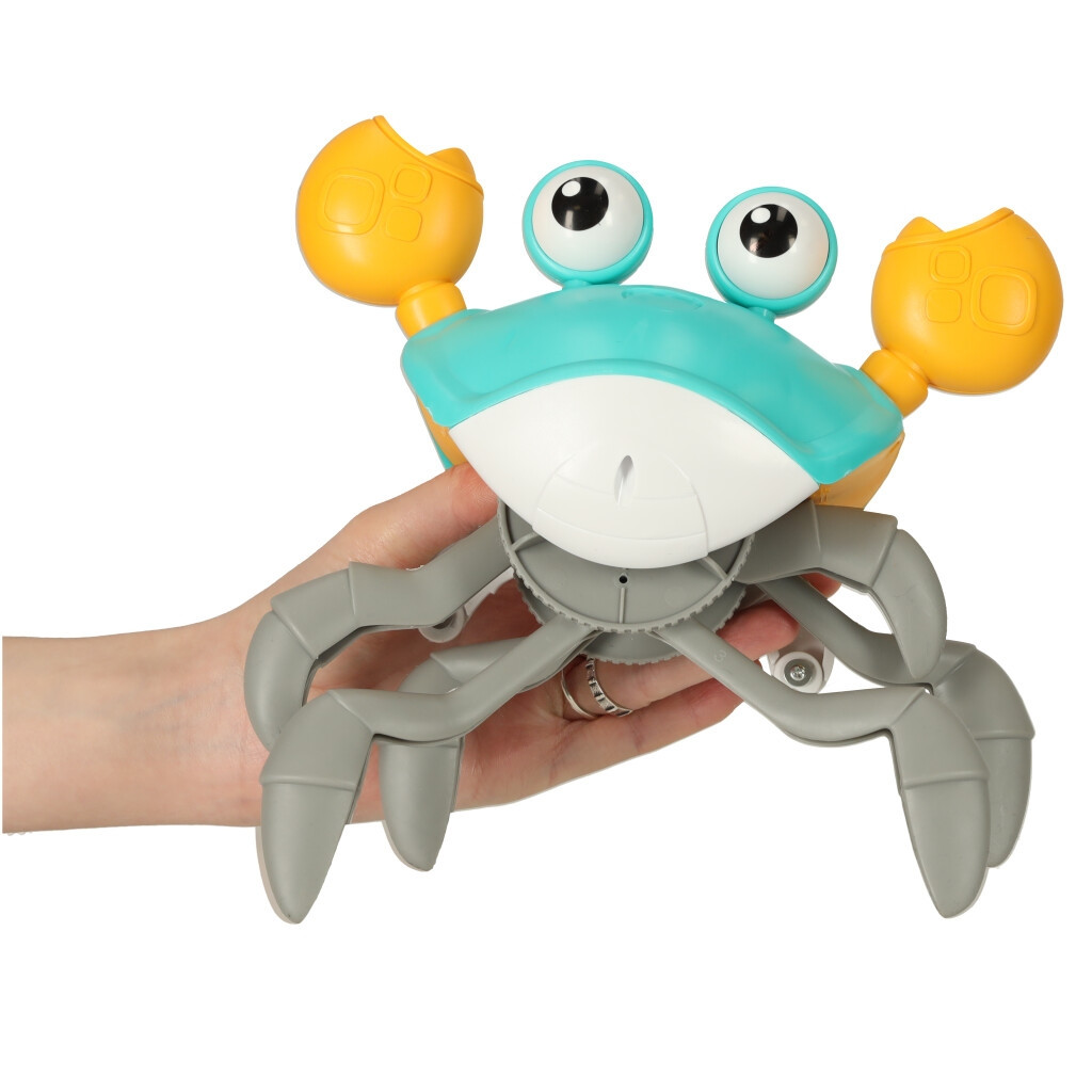 Crabe rampant avec son