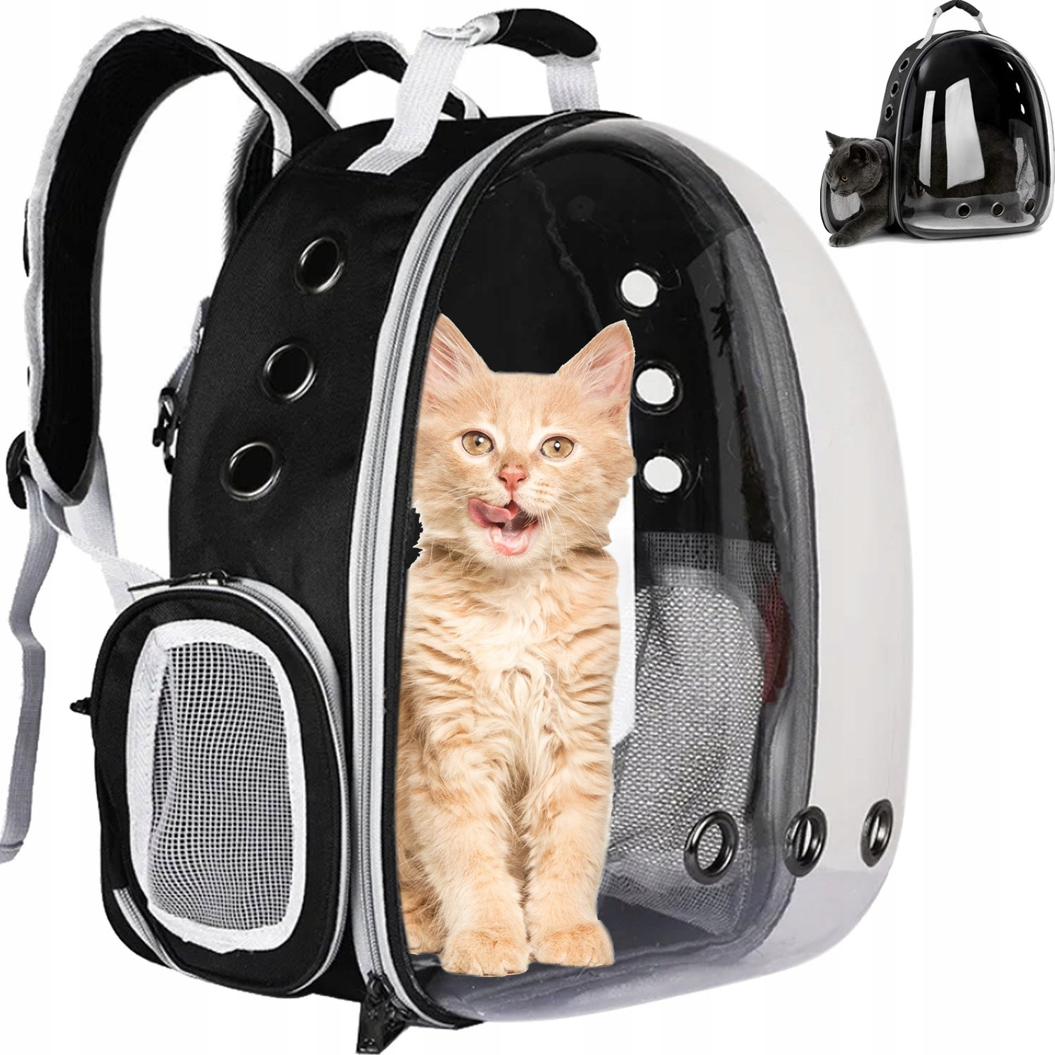 Backpack for cats and dogs