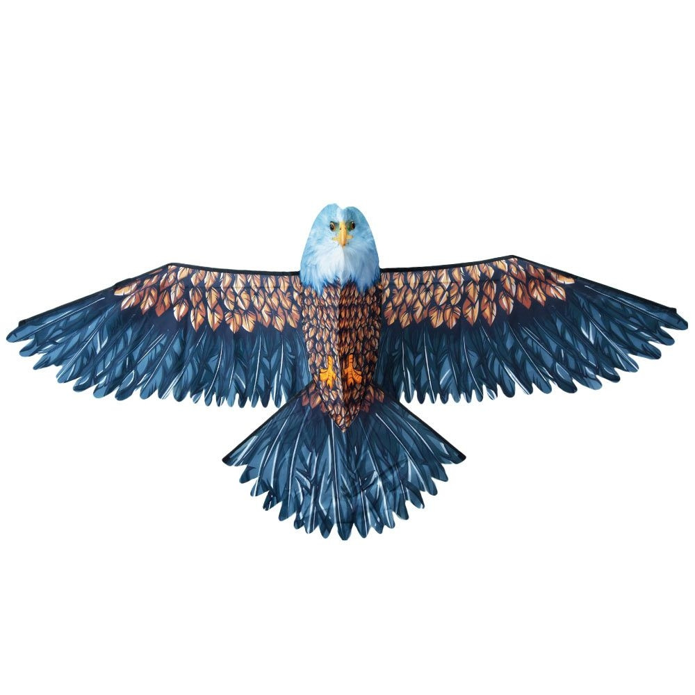 3D eagle kite for outdoor play