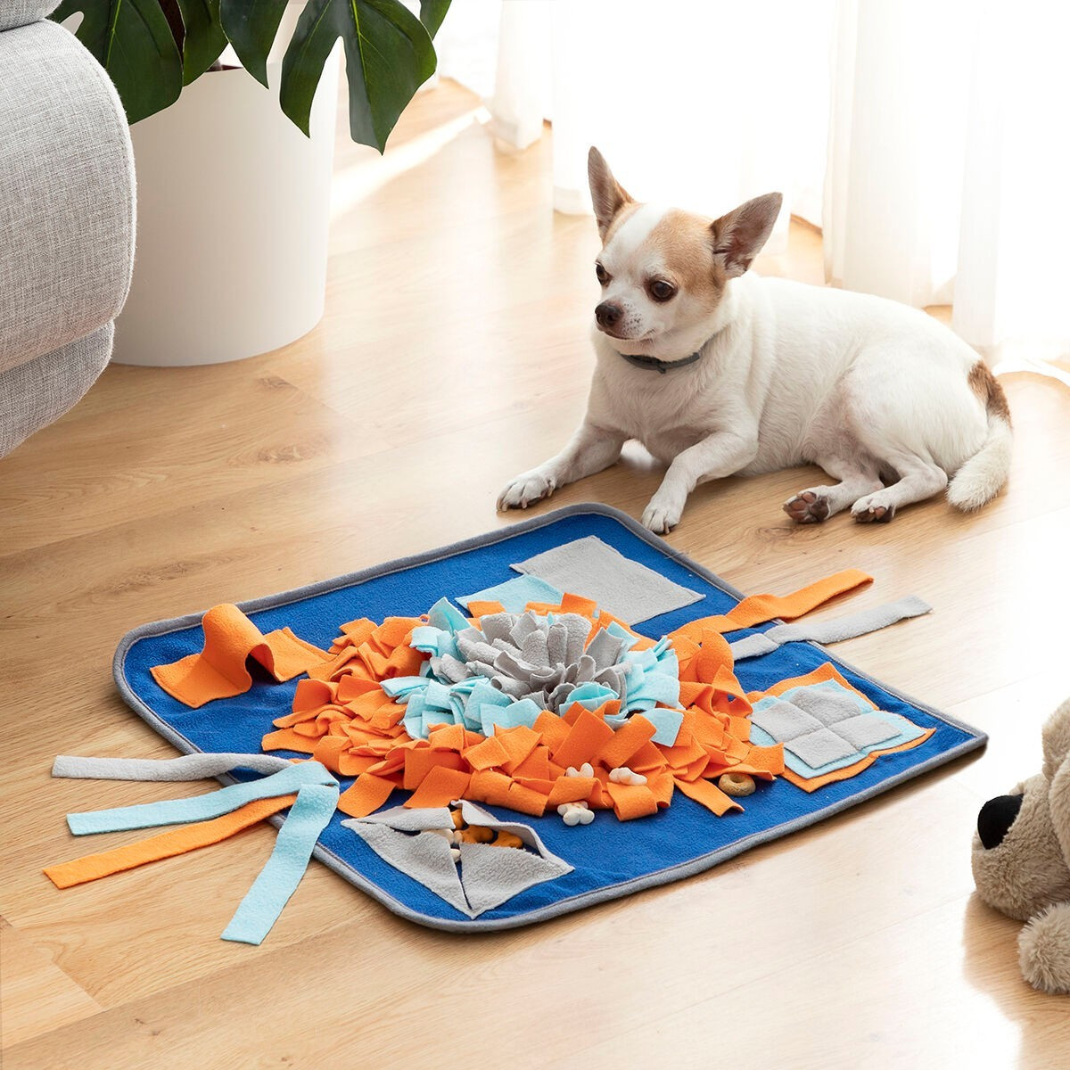 Scent mat for Pets - Training & Play