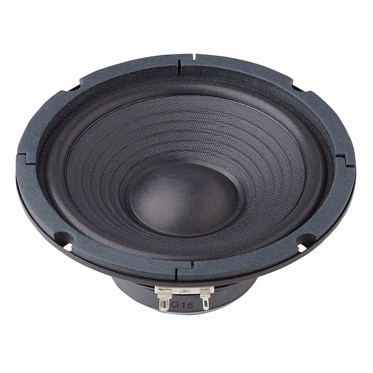 B170 - 8 Ohm 17 cm (6,5") HiFi-basluidspreker
