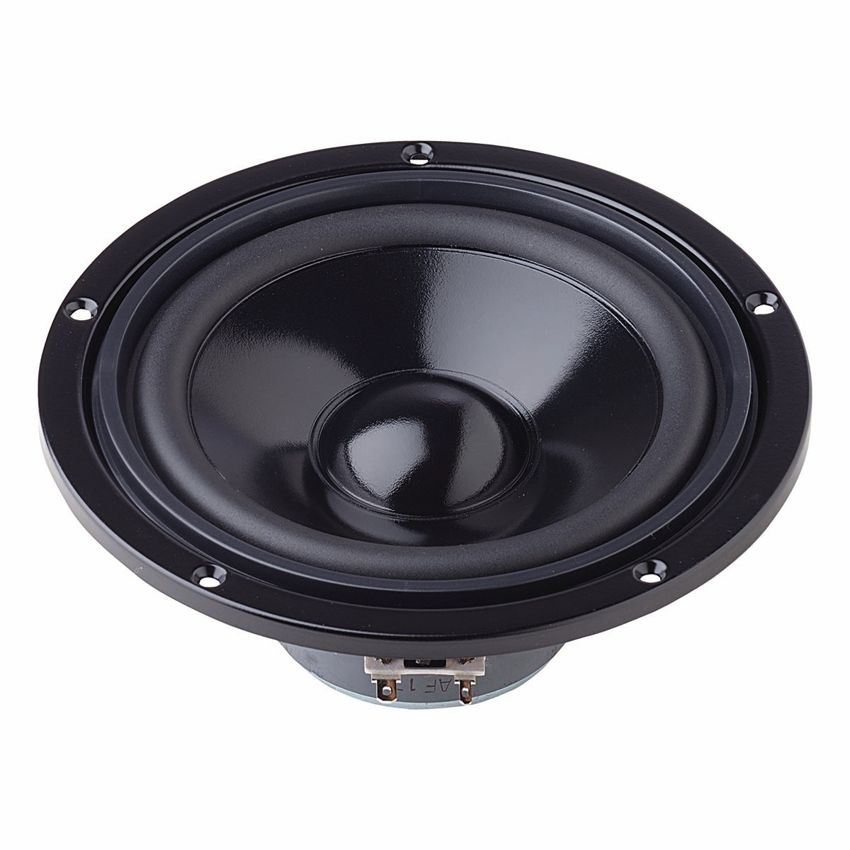 B170S - Alto-falante HiFi para graves de 8 Ohm e 17 cm (6,5 polegadas)