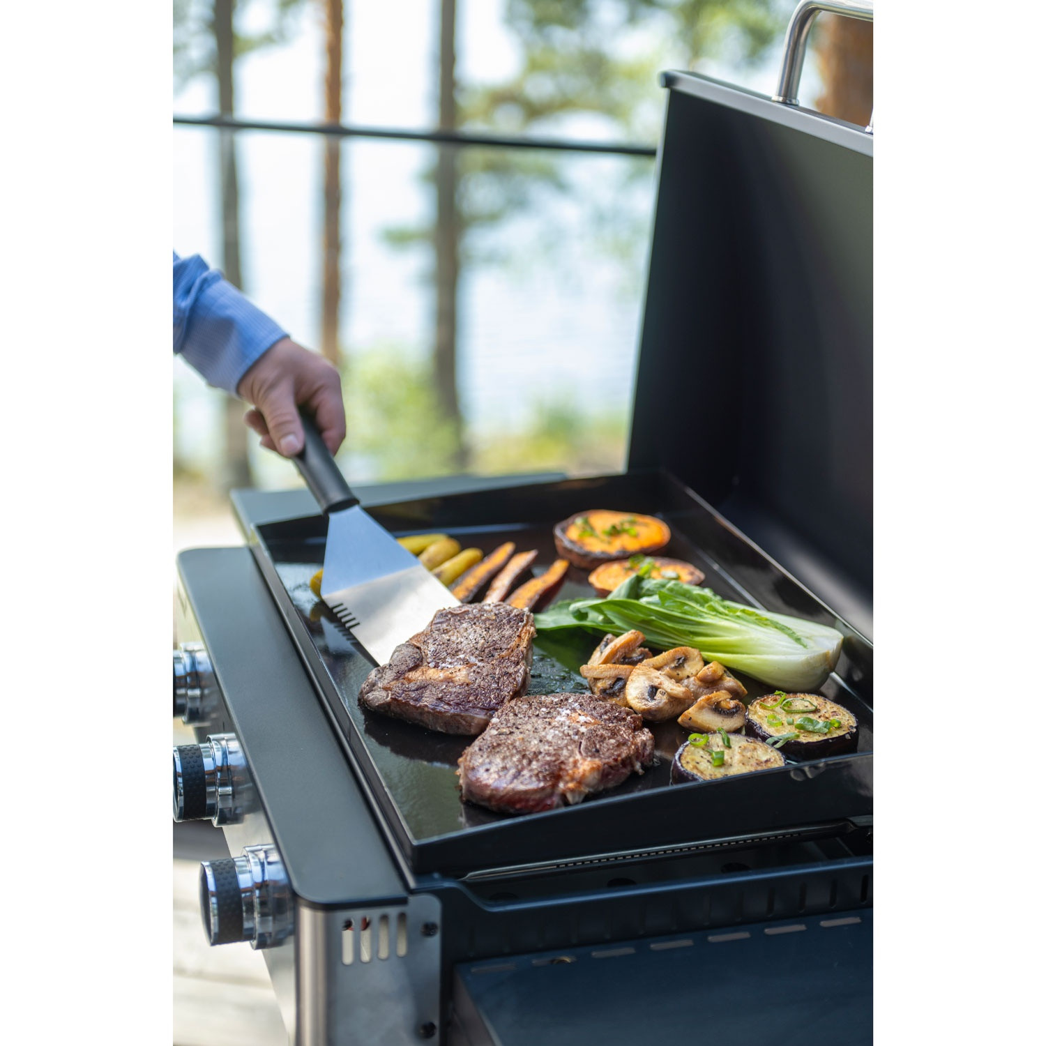 Entrée de grill