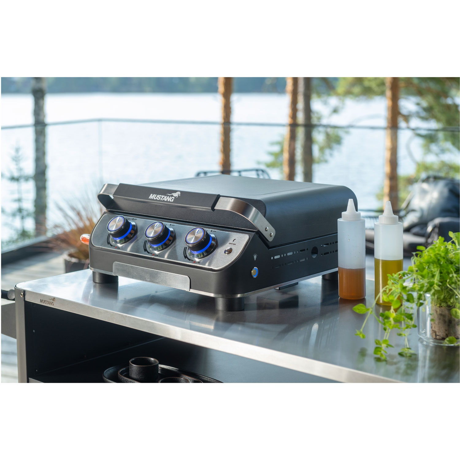 Gasgrillplaat 3