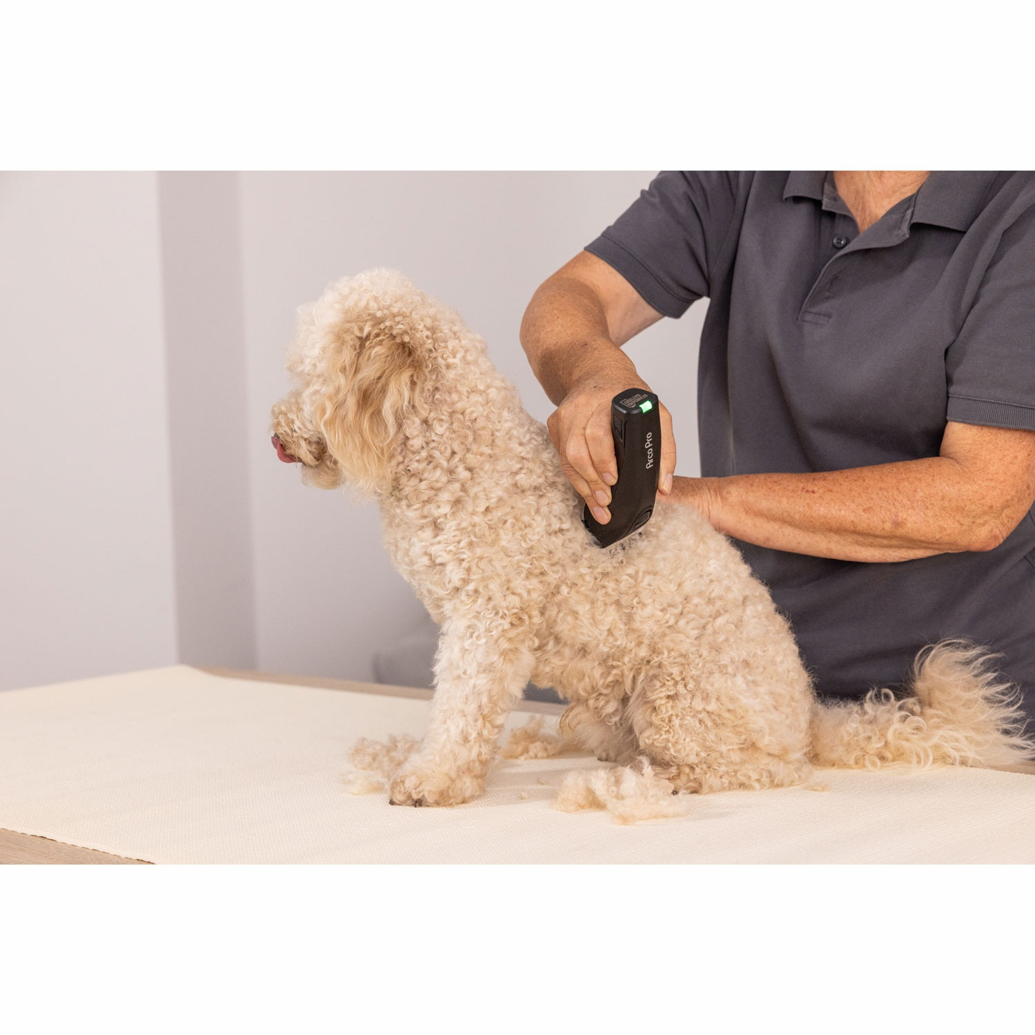 Cordless ArcoPro Clipper
