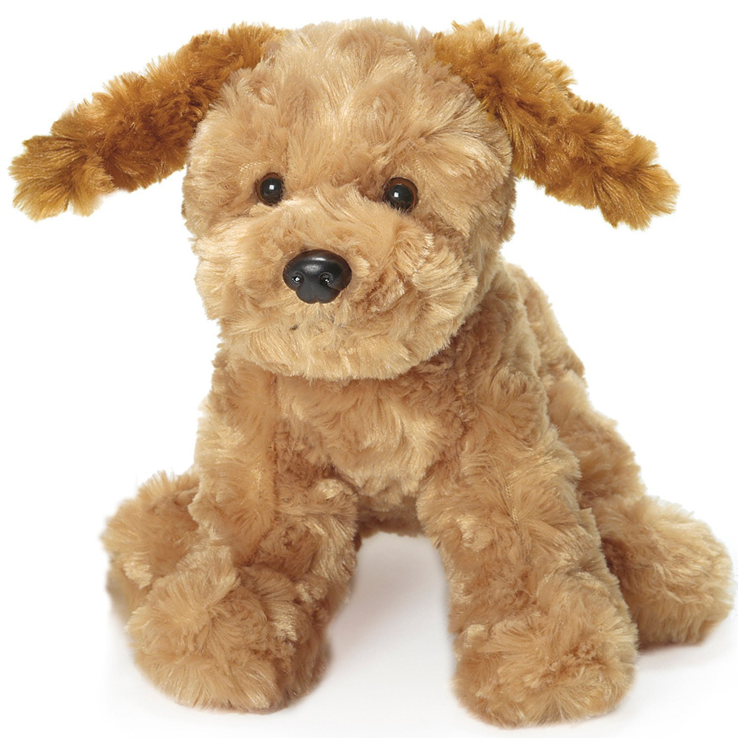 Cachorro Teddy Bege