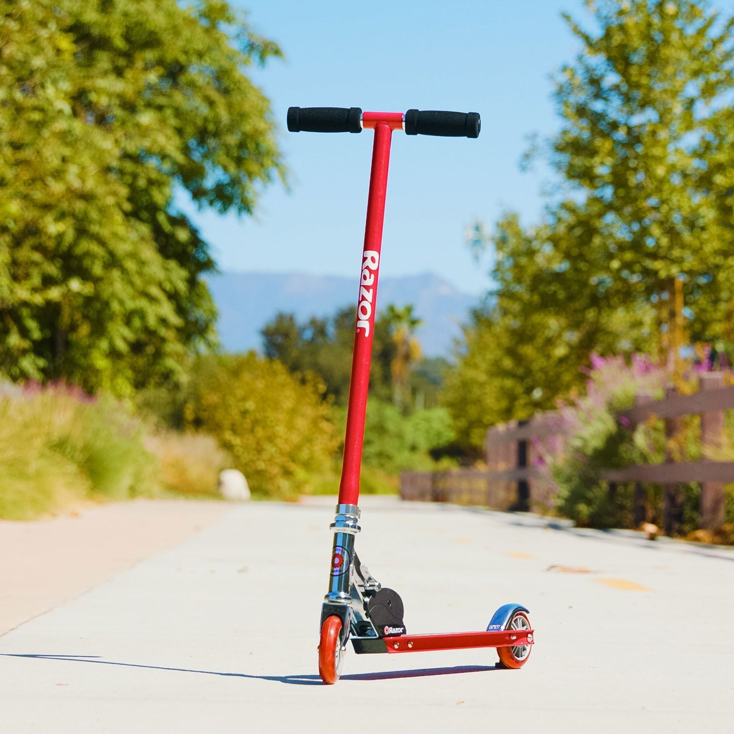 Sportroller – Blau