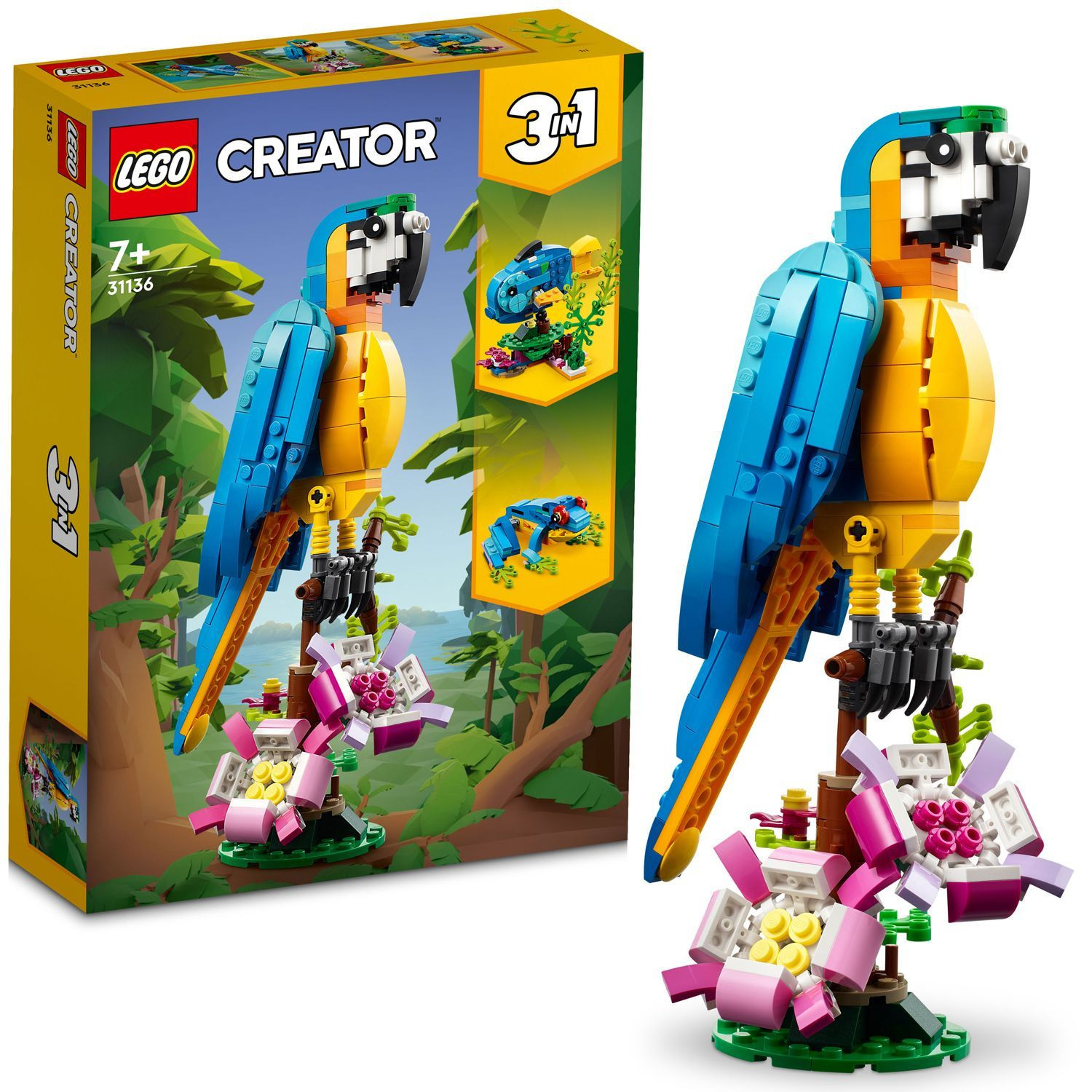 Creatore - Pappagallo esotico 31136