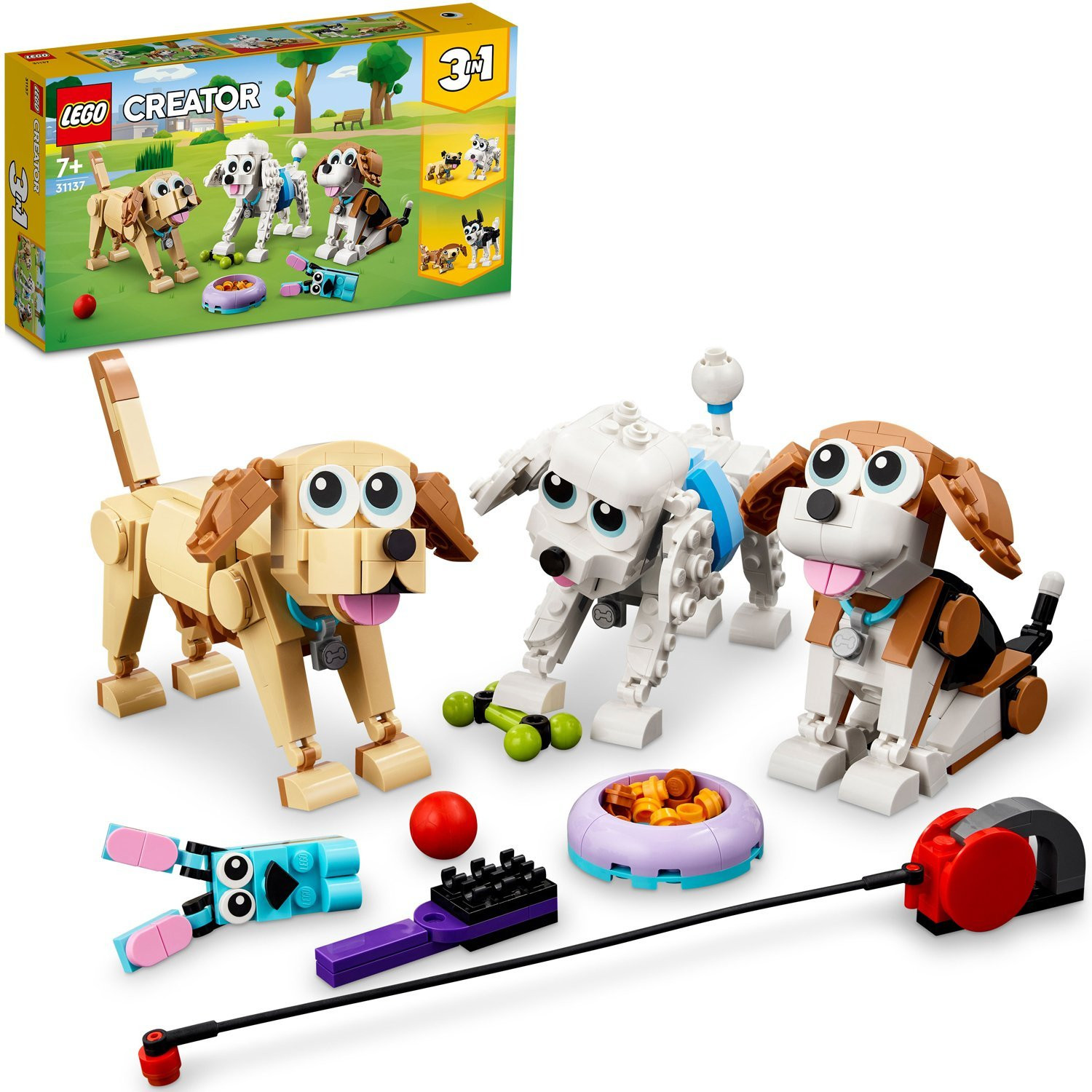 Creator - Leuke honden 31137