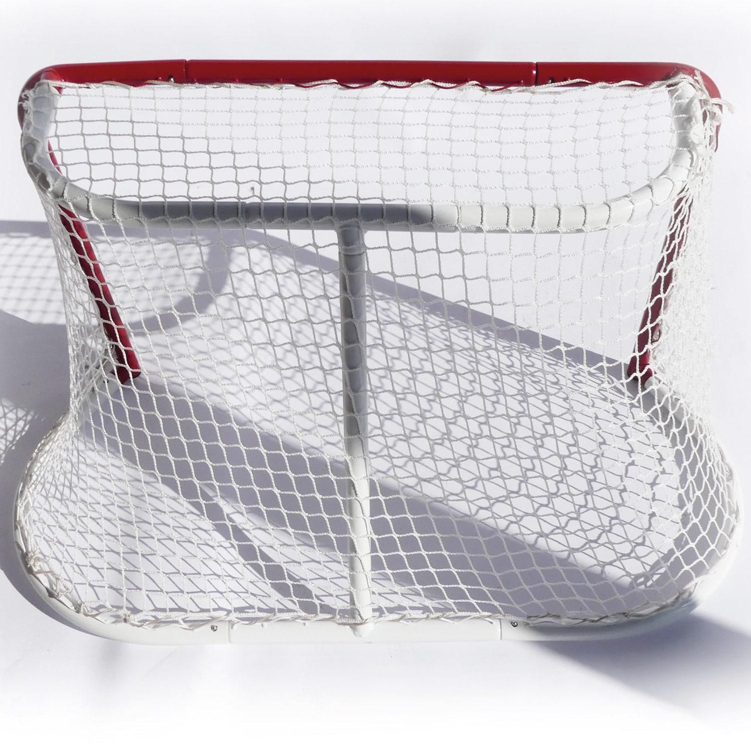Streethockeytor Mini