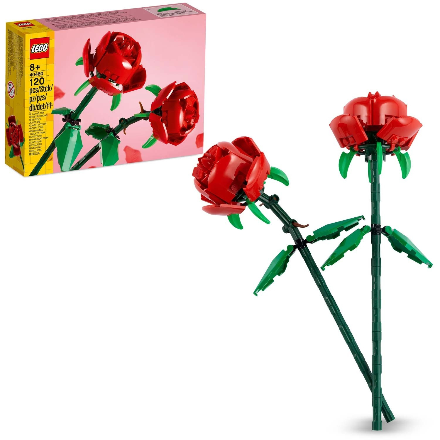 Fleurs - Roses 40460
