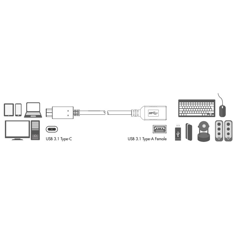 USB 3.1 USB-C Ha - USB-A Ho