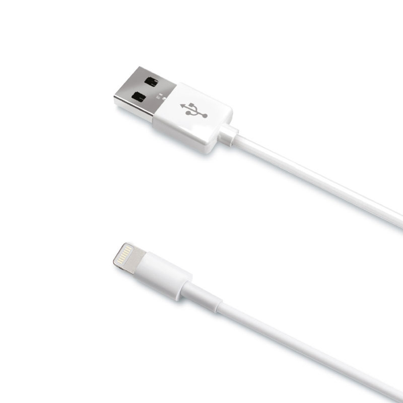 Charge/Synchronisation Lightning Slim 1 m V