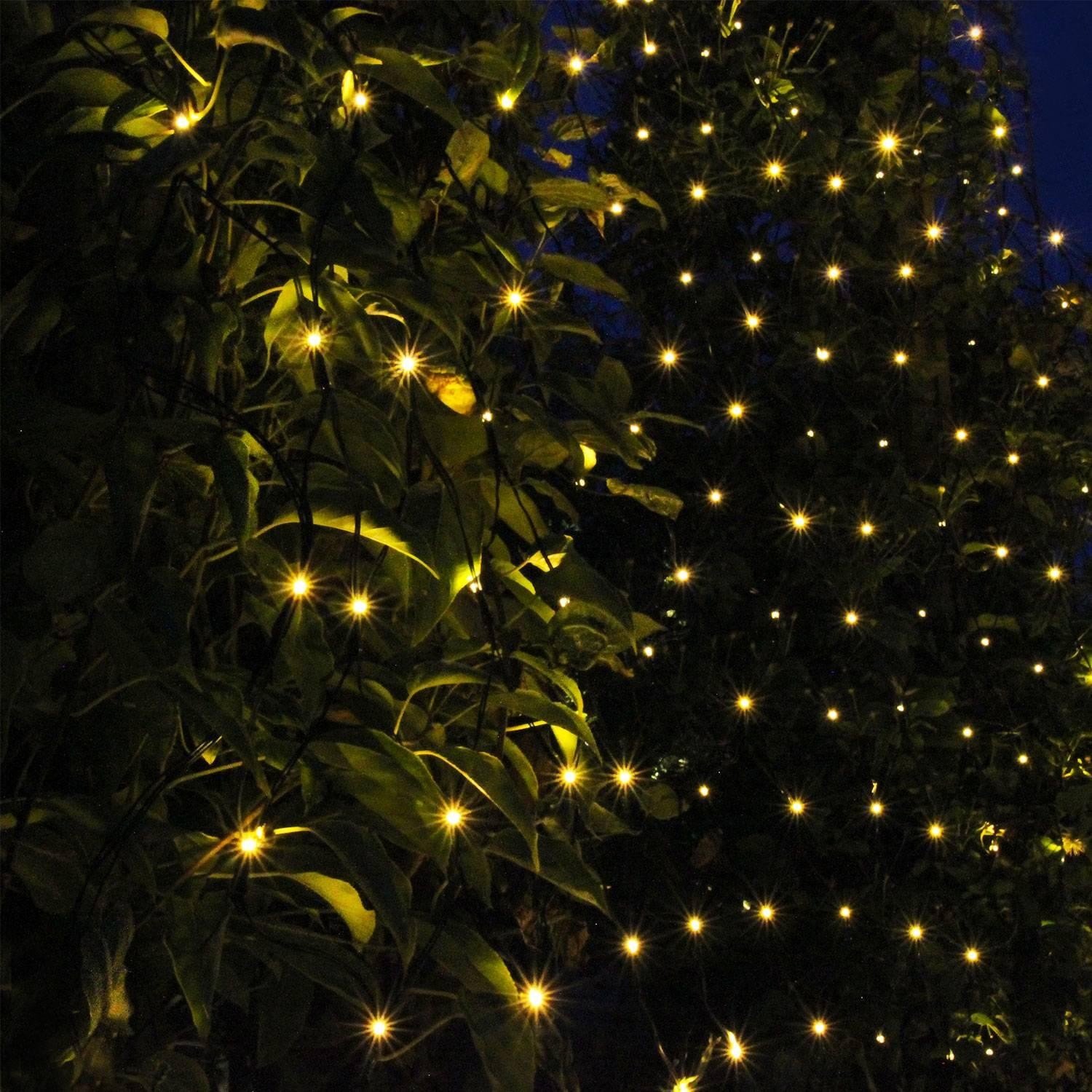 Net Light net 2x1.5m with 168 light points