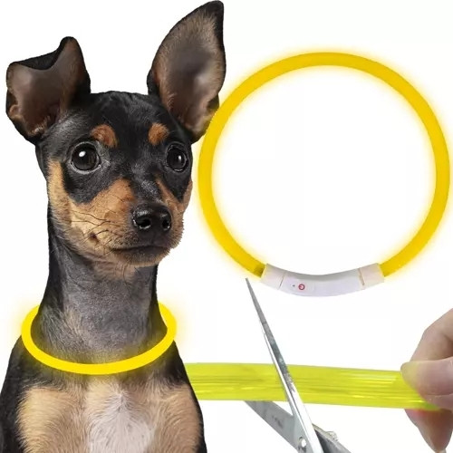 Adjustable LED dog collar with USB charging