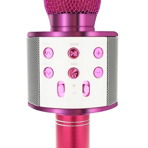 Draagbare roze Bluetooth-karaokemicrofoon met luidspreker