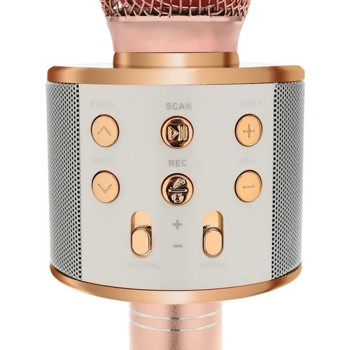 Draagbare Bluetooth-karaokemicrofoon met luidspreker, roségoud