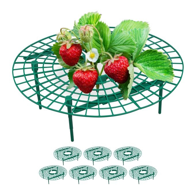 Aardbeienondersteuning 8-pack