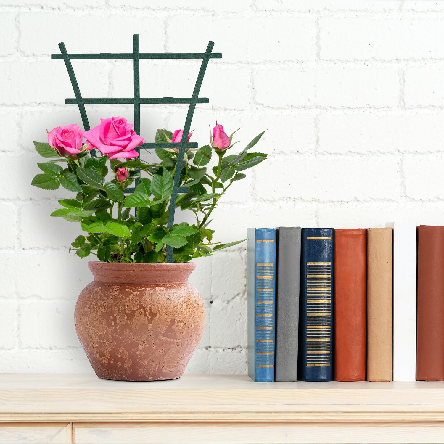 Plantenondersteuning 12-pack