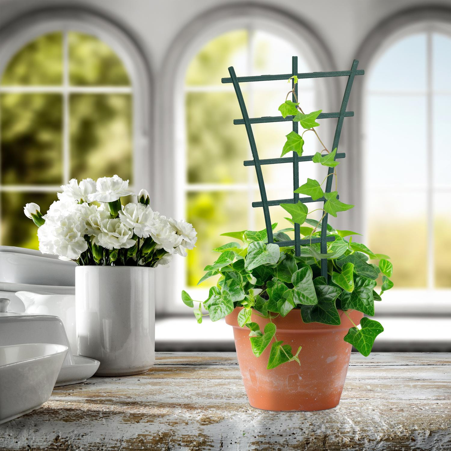 Plantenondersteuning 12-pack