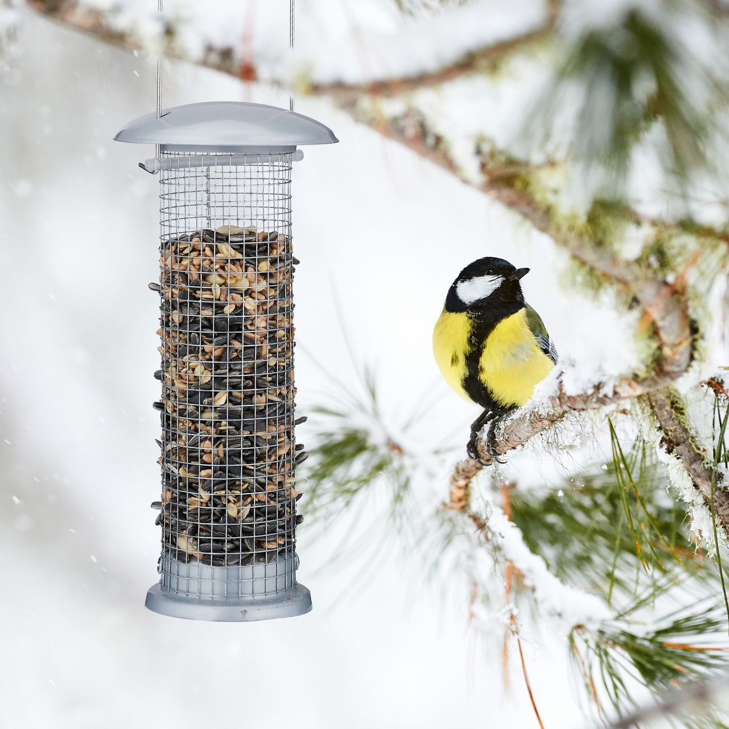 Hängende Vogelfutterhäuschen im 2er-Set