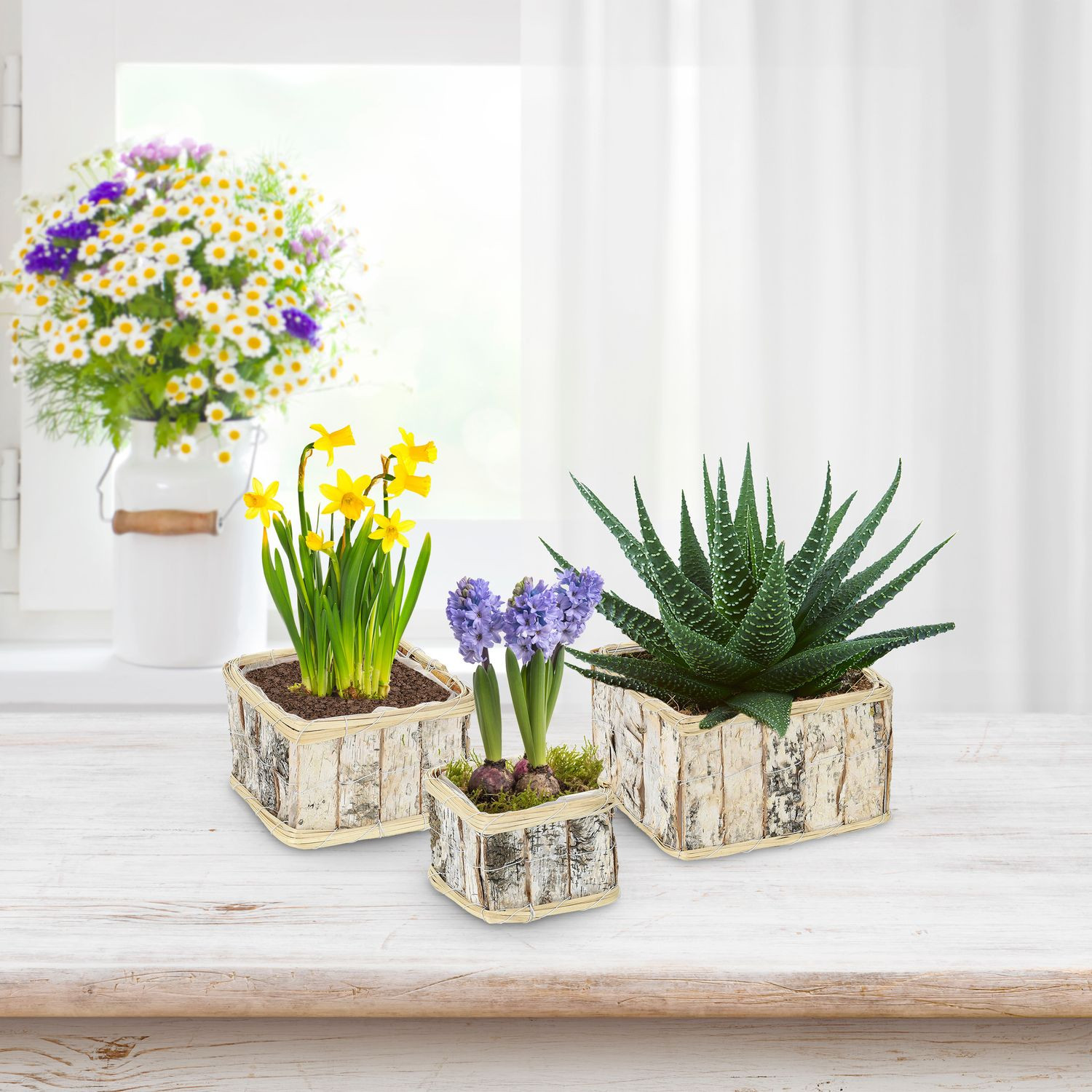 Vaso retangular para flores - conjunto de 3