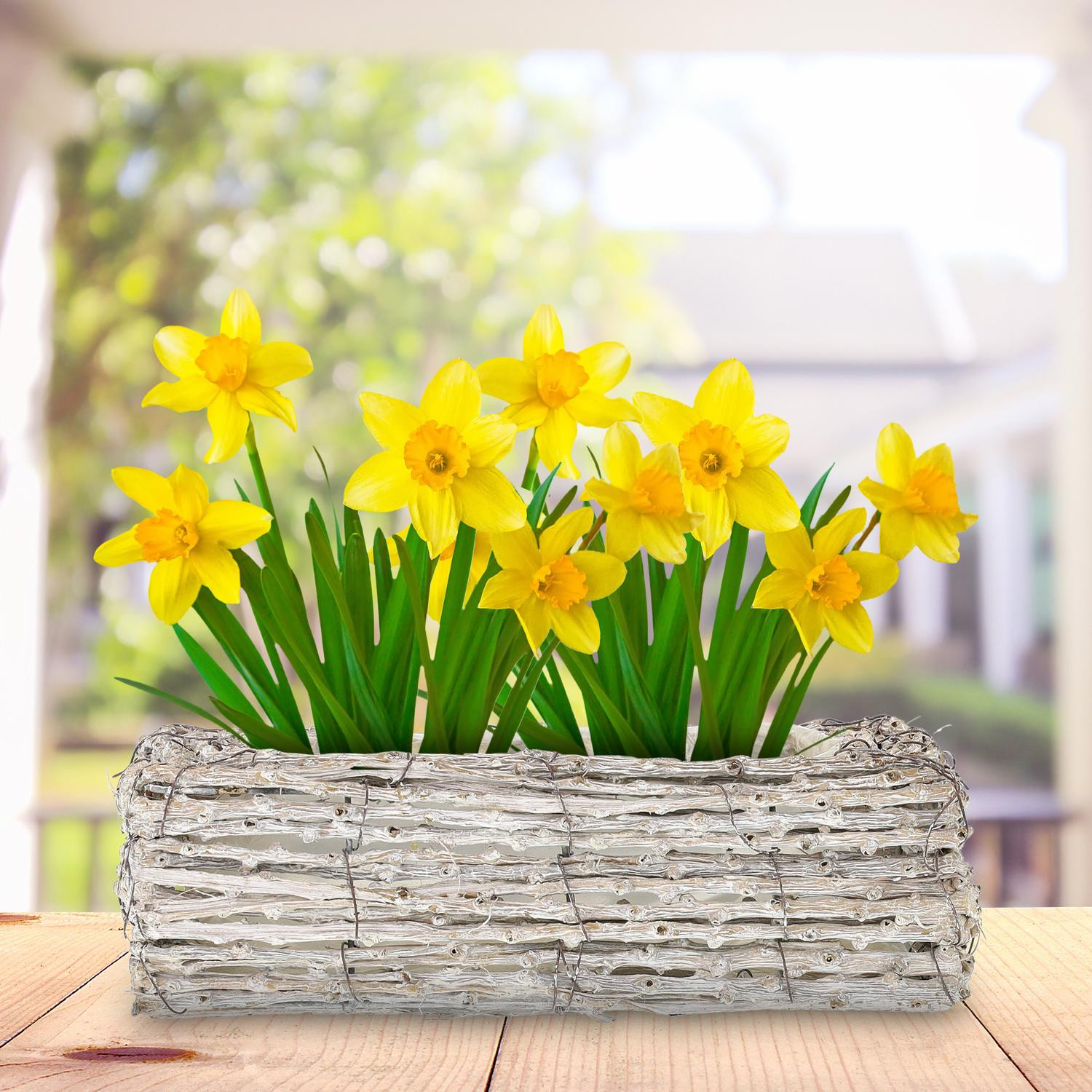 Vierkante bloempot - set van 2