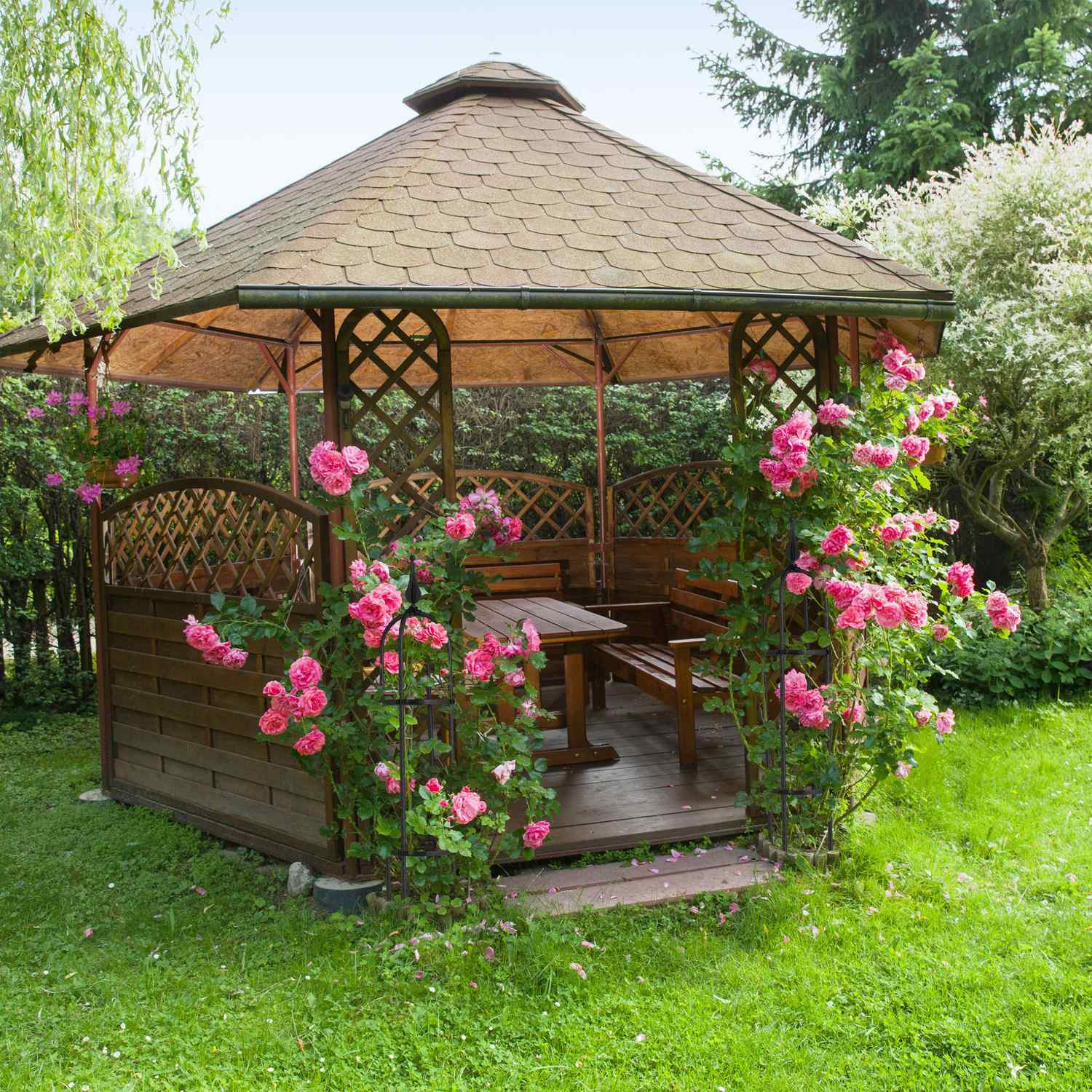 Trellis 70 cm, set van 2