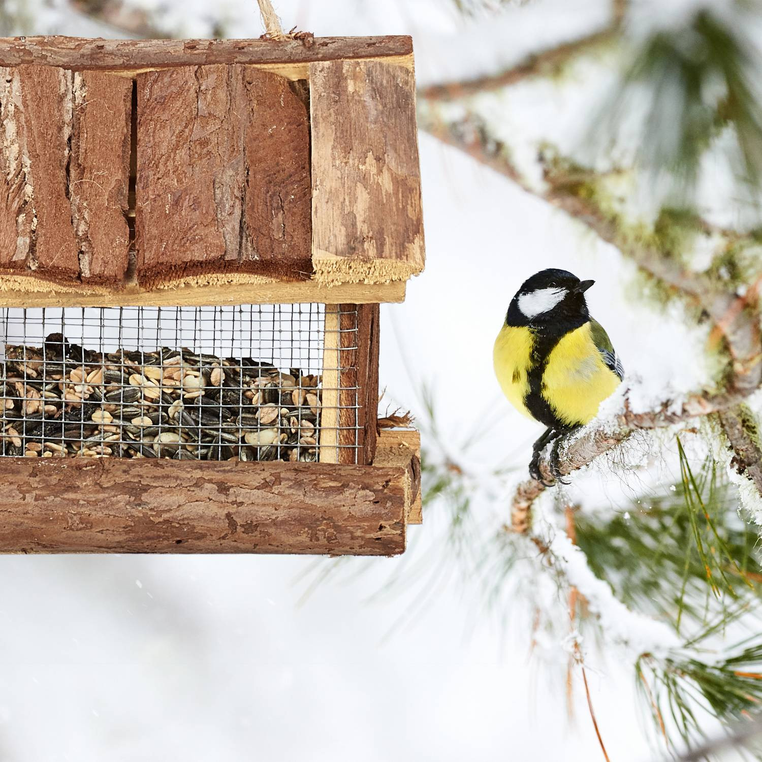 Vogelhäuschen mit Rinde