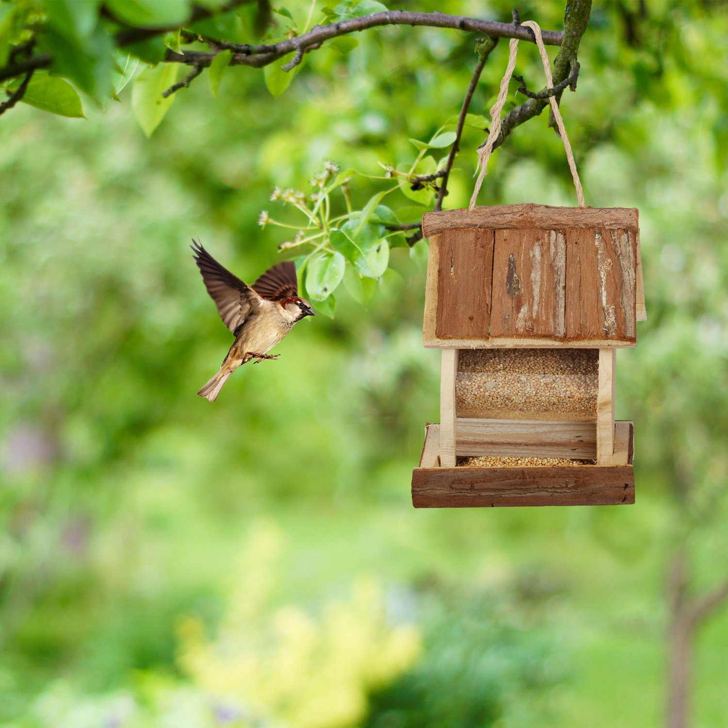 Vogelfutterhaus mit Aufhängung