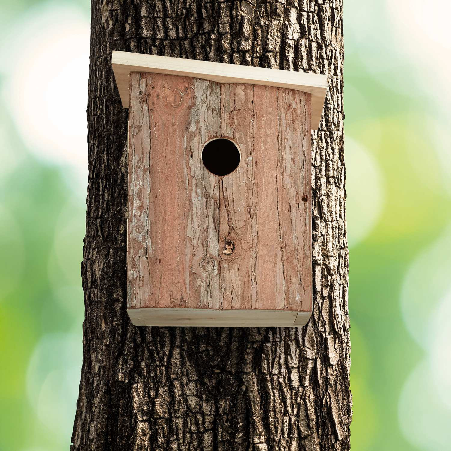 Vogelhaus Holz