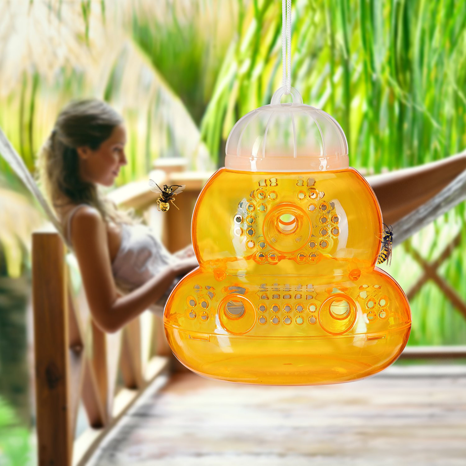 Insect trap 6 pcs