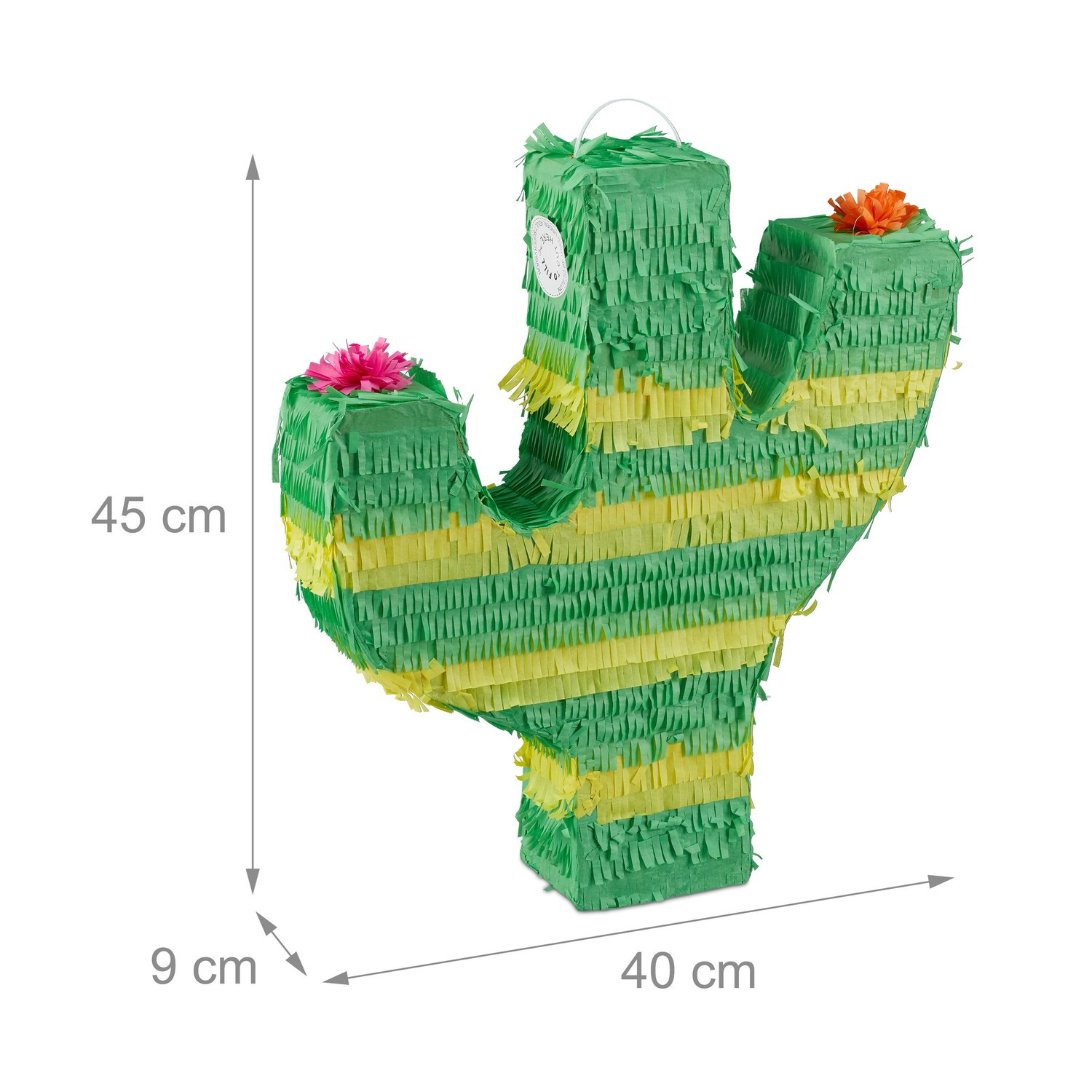 Cactus pignatta